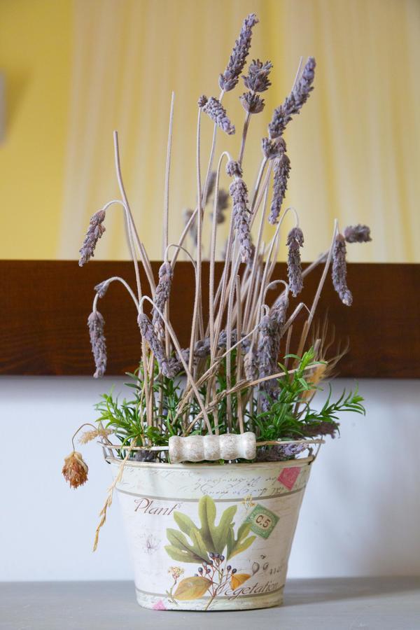 Hospederia Virgen De La Fuente Hotel Penarroya De Tastavins ภายนอก รูปภาพ